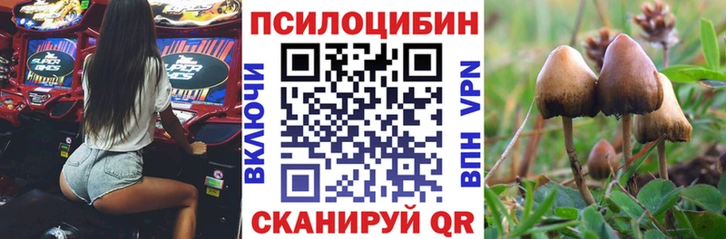 хочу наркоту Чекалин Галлюциногенные грибы ЛСД